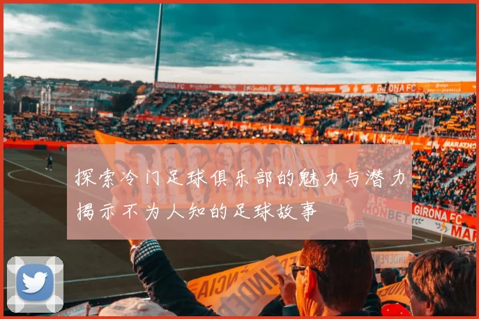 探索冷门足球俱乐部的魅力与潜力揭示不为人知的足球故事