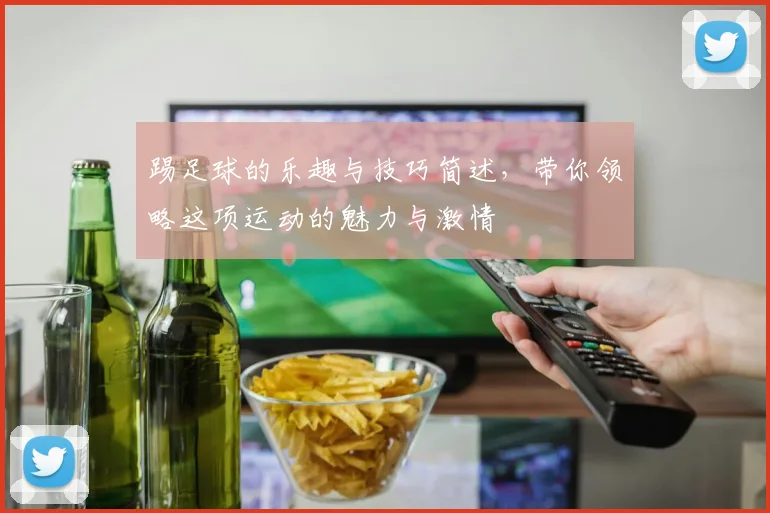 踢足球的乐趣与技巧简述，带你领略这项运动的魅力与激情